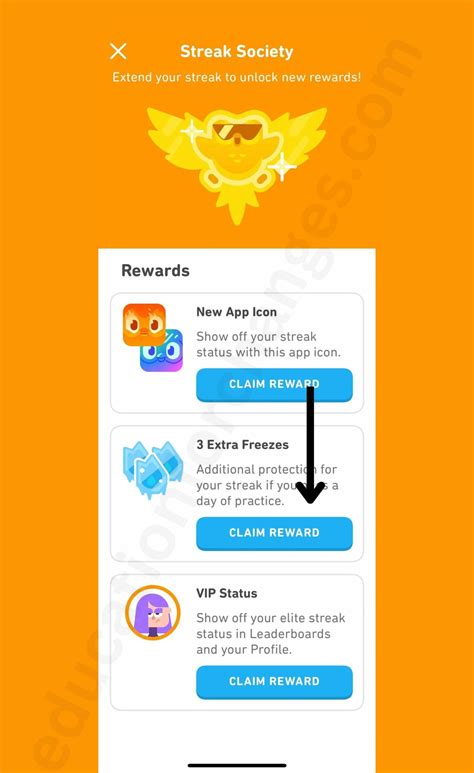 how to use streak freeze duolingo|duolingo 365 day streak.